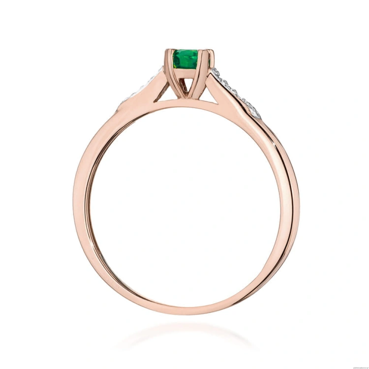 55539be67a3a52e86b912974b861eafe