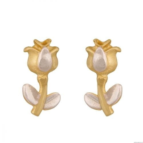 Kolczyki Na sztyft 5900025123065