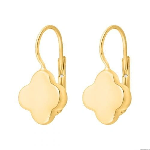 Kolczyki Wiszące 5900025598504