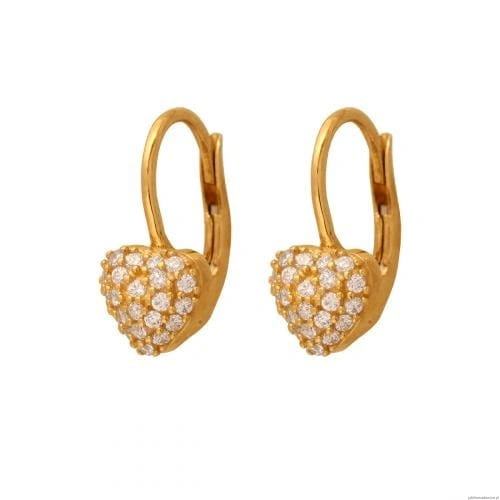 Kolczyki Wiszące 5900025577936