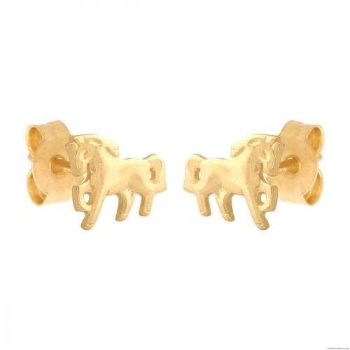 Kolczyki Na sztyft 5900025328996