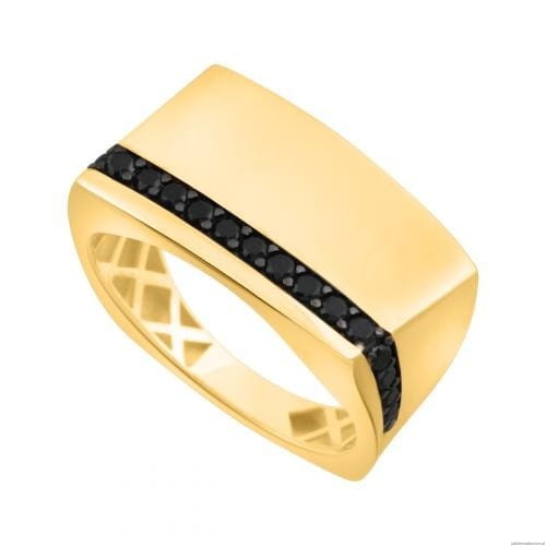 Sygnety 5900025616291